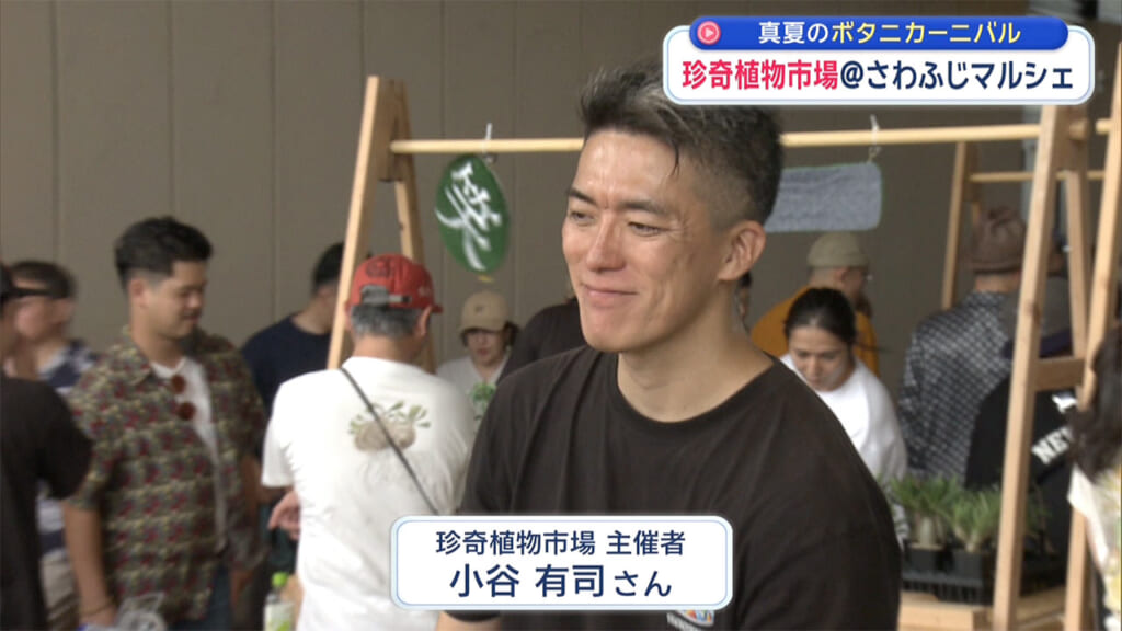 真夏に負けない！珍奇植物市場に潜入