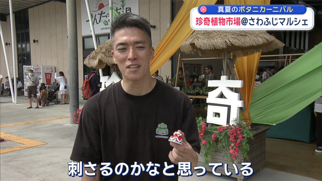 真夏に負けない！珍奇植物市場に潜入