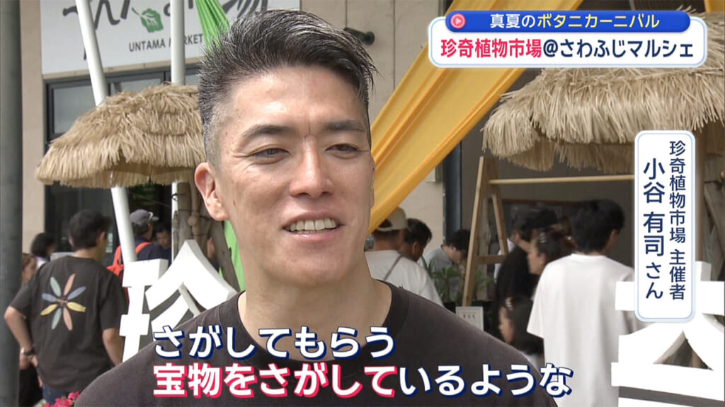 真夏に負けない！珍奇植物市場に潜入