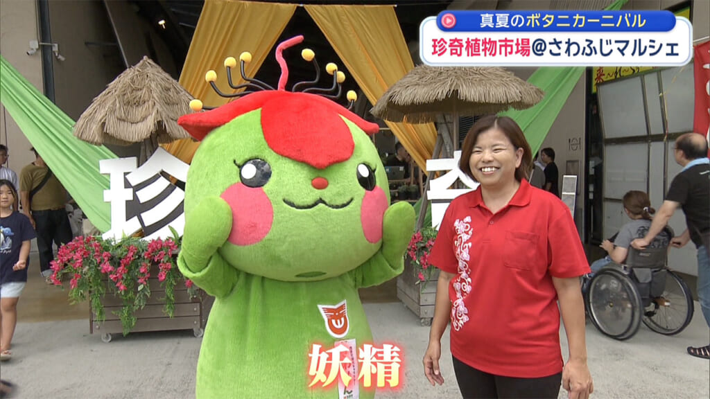 真夏に負けない！珍奇植物市場に潜入