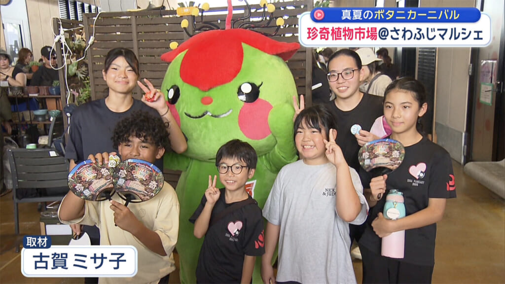 真夏に負けない！珍奇植物市場に潜入