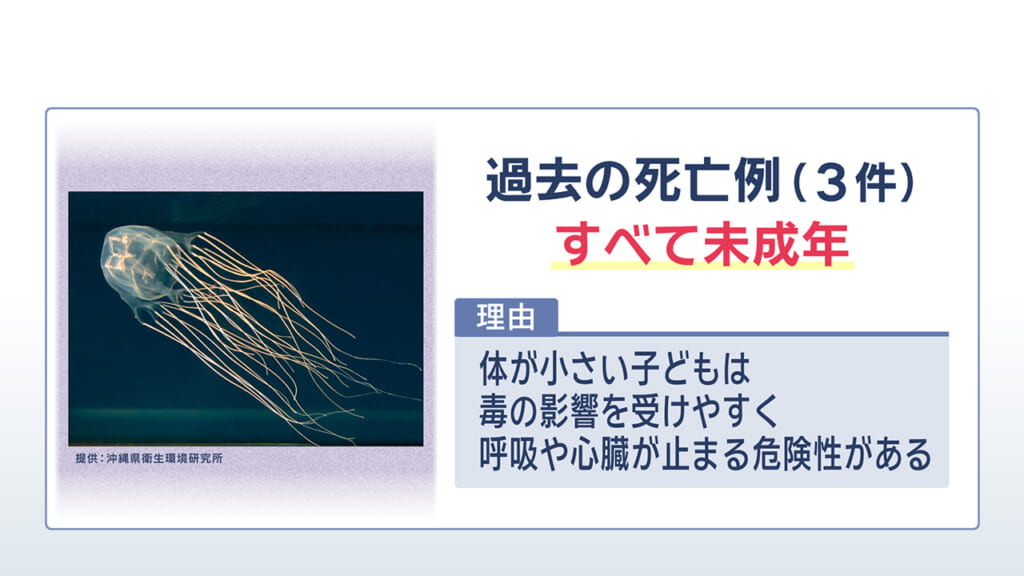 海に潜む危険生物 その対策とは？　ハブクラゲとオコゼを解説