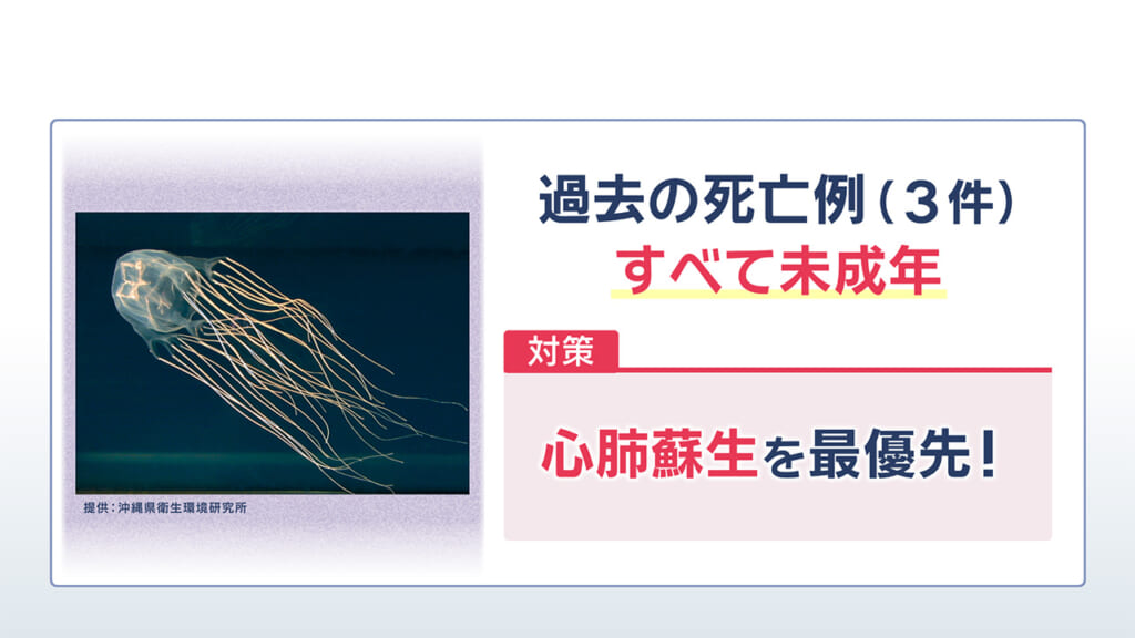 海に潜む危険生物 その対策とは？　ハブクラゲとオコゼを解説