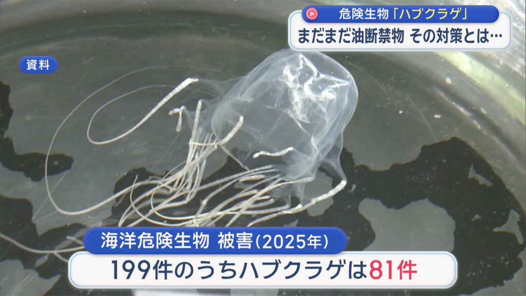 海に潜む危険生物 その対策とは？　ハブクラゲとオコゼを解説