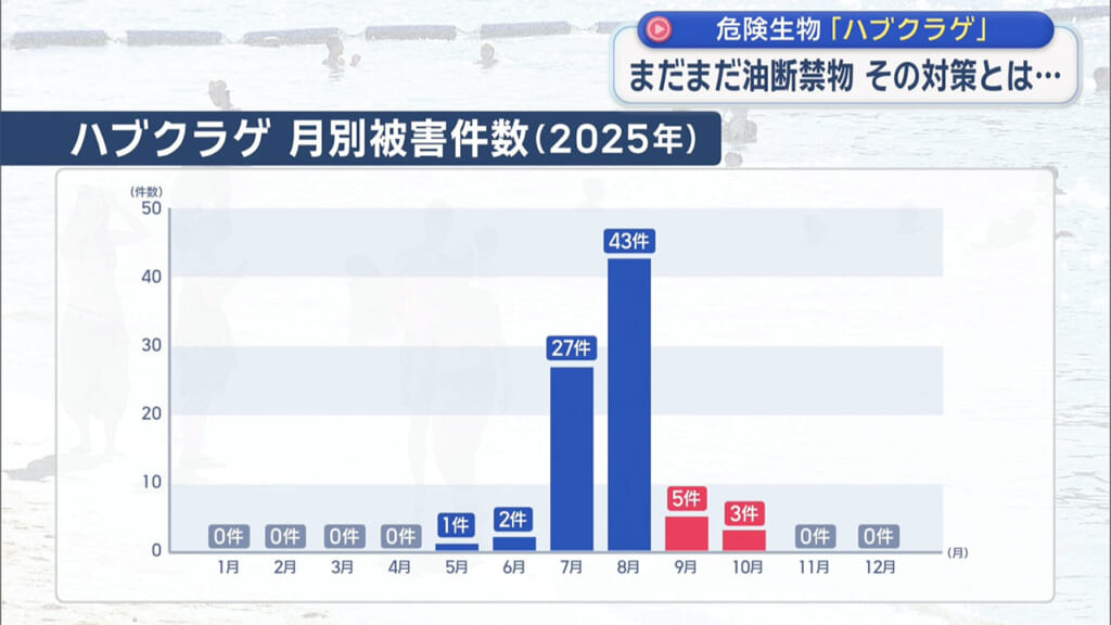 海に潜む危険生物 その対策とは？　ハブクラゲとオコゼを解説