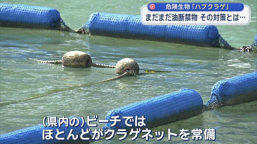 海に潜む危険生物 その対策とは？　ハブクラゲとオコゼを解説