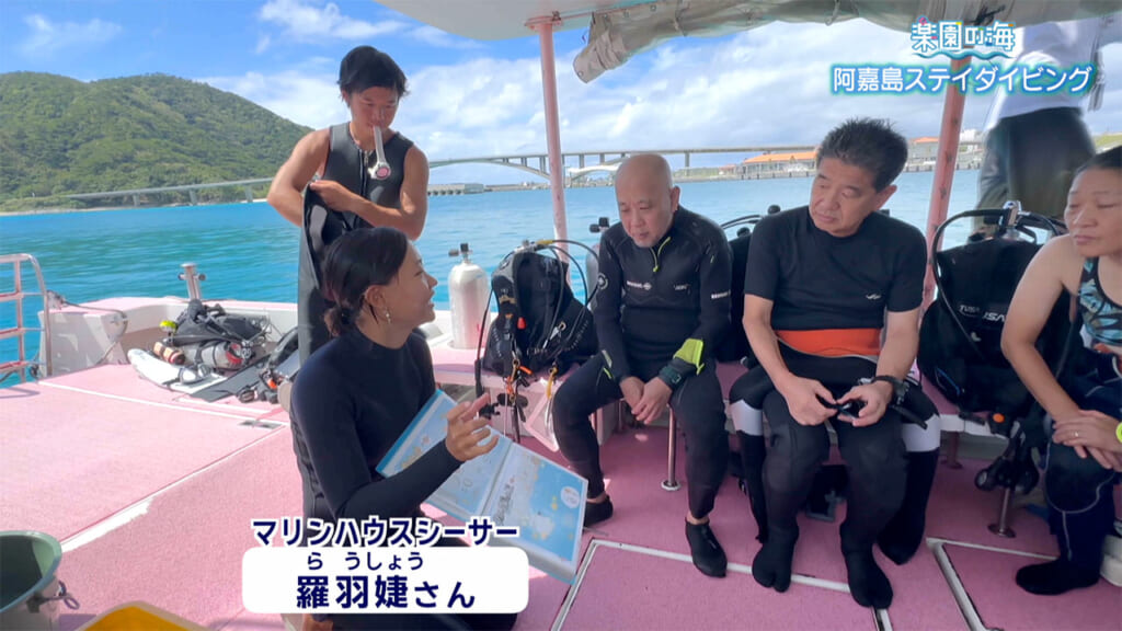 楽園の海　阿嘉島ステイダイビング