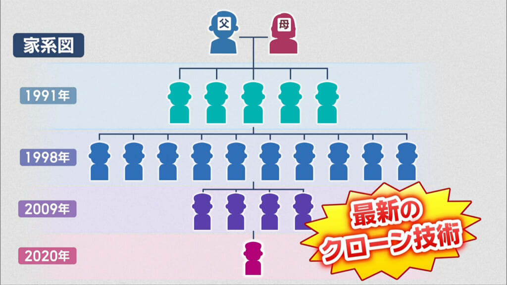 宮古島まもる君の正体に迫る！