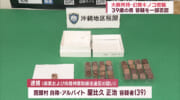 大麻所持・マジックマッシュルームの偽装菓子を密輸　沖縄・国頭村の３９歳男を摘発