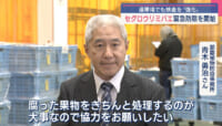 きょうからセグロウリミバエの緊急防除