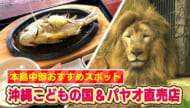 ＧＷおすすめスポット中部編！「沖縄こどもの国＆泡瀬パヤオ直売店」