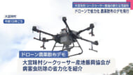 ドローンを使った防除の検討会／大宜味のシークヮーサー農場
