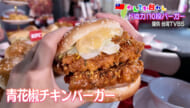 わんさか台わん　久々の神様帰還＆最新写真スポット！