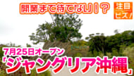 注目ビズ「ジャングリア沖縄」県民の反応は？
