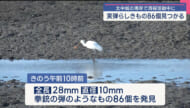 北中城村の海岸で銃の弾ようなもの86個見つかる/警察が鑑定、出所調べる