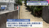 宜野湾市の野嵩スディバナビラ石畳道が県指定遺跡に