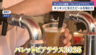 キンキンに冷えたビールを味わう 那覇市でパレットビアテラス開催