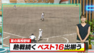 夏の高校野球　熱戦続くベスト１６出揃う