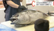 「なはまぐろ」をＰＲ　牧志公設市場で解体ショー　１メートル超えるマグロさばく