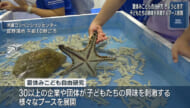 夏休みこども自由研究はじまる