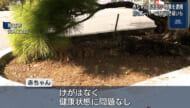 赤ちゃん置き去り 母親を逮捕