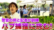 警察学校でハブ捕獲の実践授業 ハブに遭遇したら？