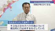セクハラ口止めの南城市長「真実が明らかになる」とコメント