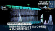 東南植物楽園でイルミネーション点灯式