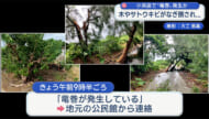 小浜島で竜巻とみられる突風発生 沖縄地方は14日にかけて警報級の大雨の恐れ