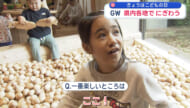 ＧＷ各地の様子　～こどもの日～