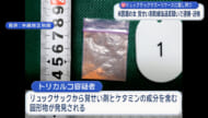 麻薬密輸で米国籍の女逮捕