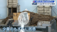 台風６号の影響でもずく漁ピンチ