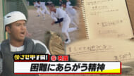 めざせ甲子園！　名護「困難にあらがう精神」