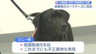 活躍！麻薬探知犬が大麻を嗅ぎ分け容疑者逮捕