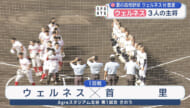 夏の高校野球沖縄大会2日目　12校が初戦に挑む