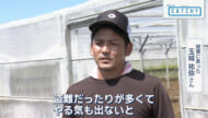 本島南部のキク農家で電線盗難の被害相次ぐ　その実態とは？