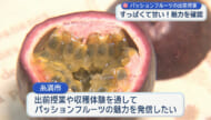 糸満市の小学校でパッションフルーツの出前授業