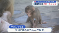 沖縄こどもの国でベビーラッシュ！！