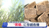 離島の“黒糖”に存続危機　島の基幹産業　誰が支える？