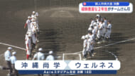 新人中央大会決勝で沖尚とウェルネスが激突