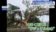 沖縄地方に接近した台風18号 県内各地に影響が・・・