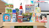 蚊は手に止まる？親子で体験！害虫のふしぎ実験／ビジネスキャッチー