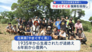 「やまぐすく茶」を復活させ未来へつなぐプロジェクト