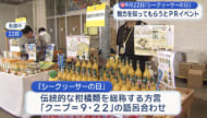 「シークヮーサーの日」に名護市でPRイベント