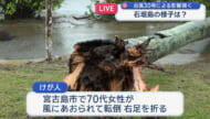 台風30号 石垣島のいま