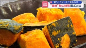 “美味”カボチャ選ぶ方法　見る点は…ヘタ？皮？お尻？