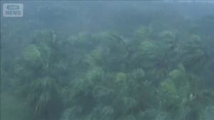 台風“再直撃”伊豆諸島　停電や断水の長期化も