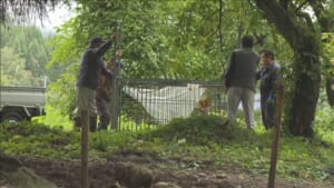 各地でクマ被害相次ぐ　山形・秋田で2人けが