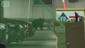 クマがホテルの駐車場に　姿を消すも近隣は警戒　福島