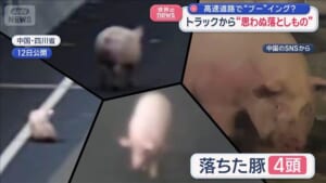 トラックから“思わぬ落としもの”高速道路で“ブー”イング？　中国